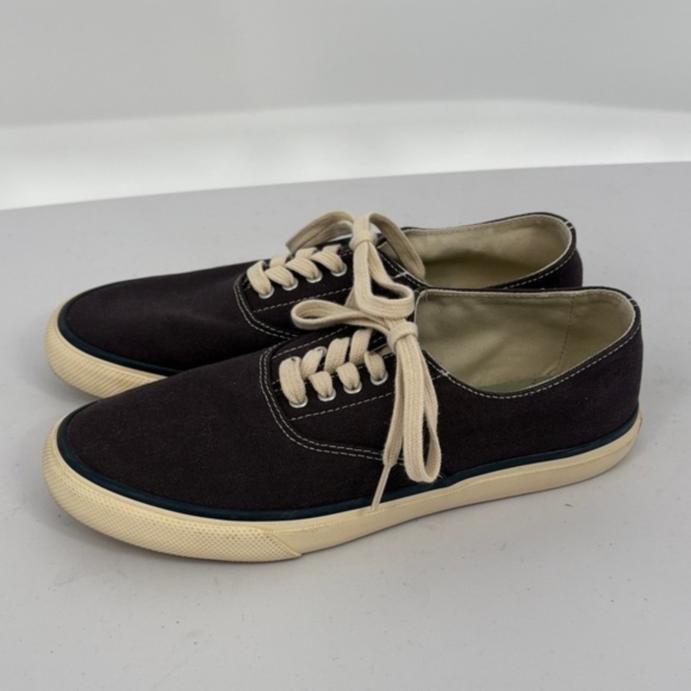 🪺 Sperry navy Canvas Sneakers